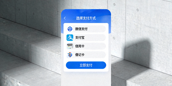 多种支付方式接入的单一结账接口界面示意图，显示清晰的支付选项