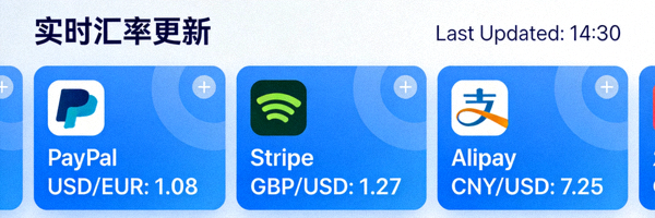 多种跨境支付网关与货币兑换汇率实时显示的界面